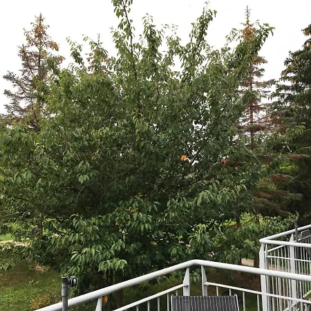 Achter-rachter Mahlzow